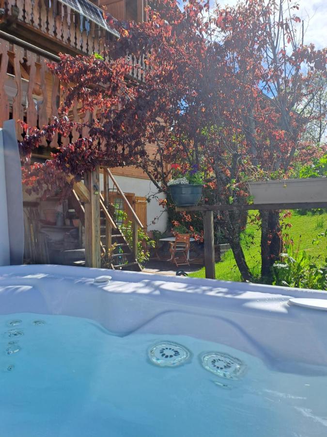 A4 Km De Megeve Tres Joli Studio Avec Jacuzzi ,Vue Sur Les Montagnes Au Calme Praz-sur-Arly Exterior foto